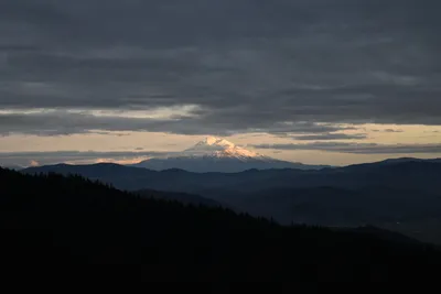 DSC_0122 (Large).JPG